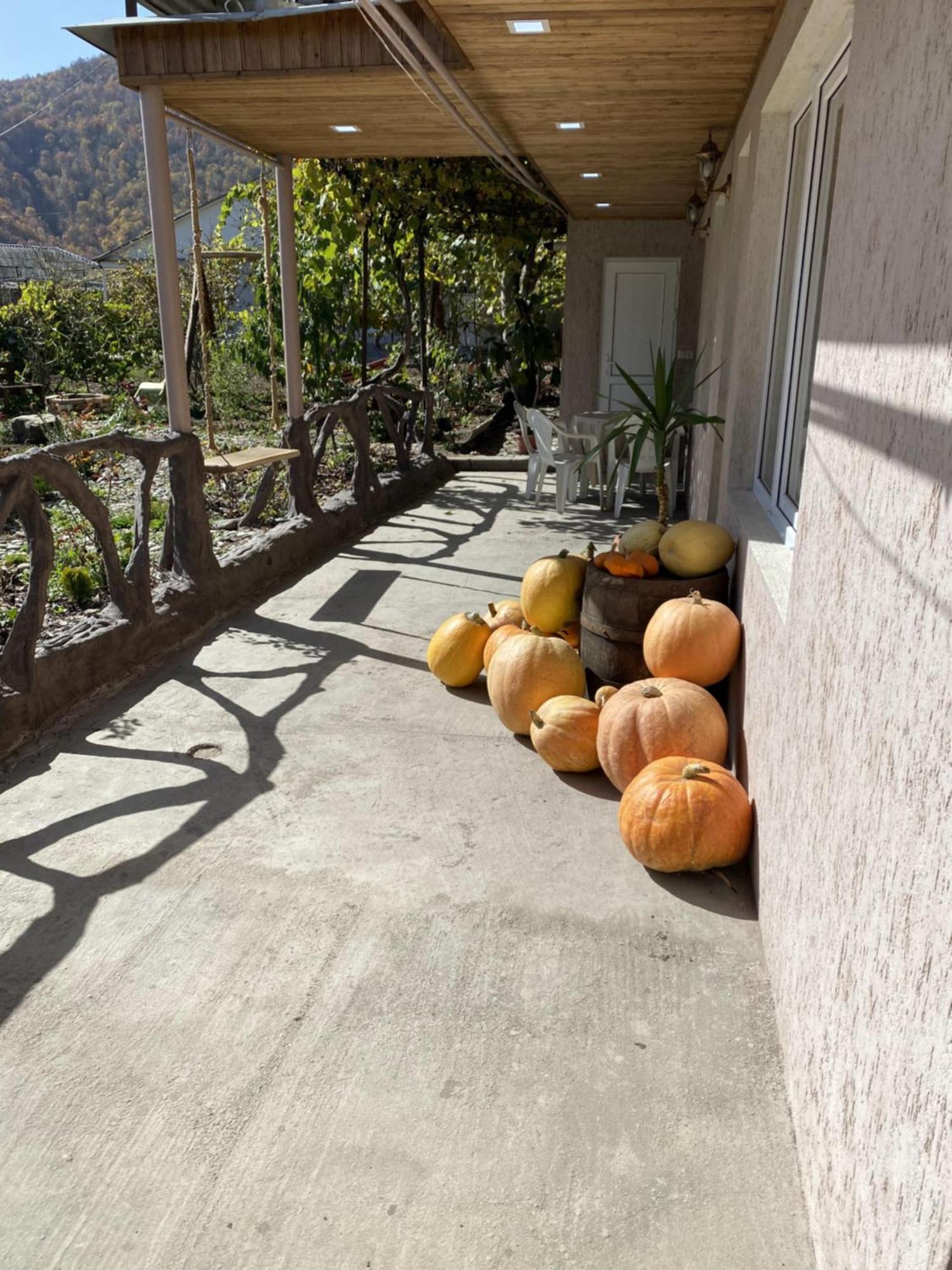 Green Park Guest House Dilijan Exterior photo