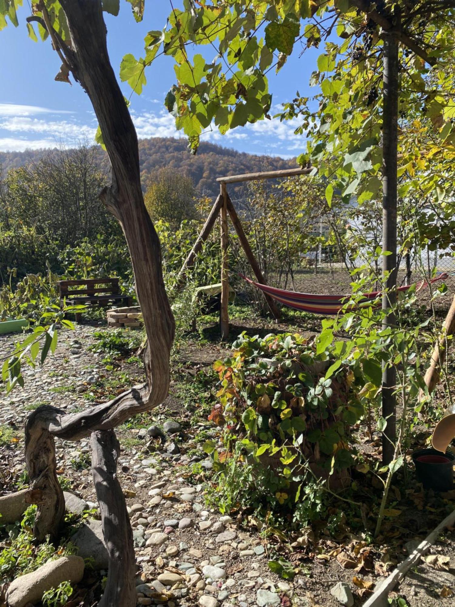 Green Park Guest House Dilijan Exterior photo